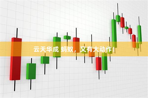 云天华成 蚂蚁，又有大动作！