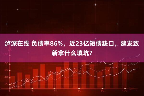 泸深在线 负债率86%，近23亿短债缺口，建发致新拿什么填坑？