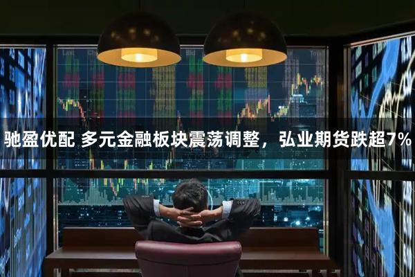 驰盈优配 多元金融板块震荡调整，弘业期货跌超7%