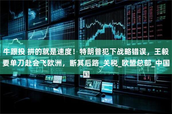 牛跟投 拼的就是速度！特朗普犯下战略错误，王毅要单刀赴会飞欧洲，断其后路_关税_欧盟总部_中国